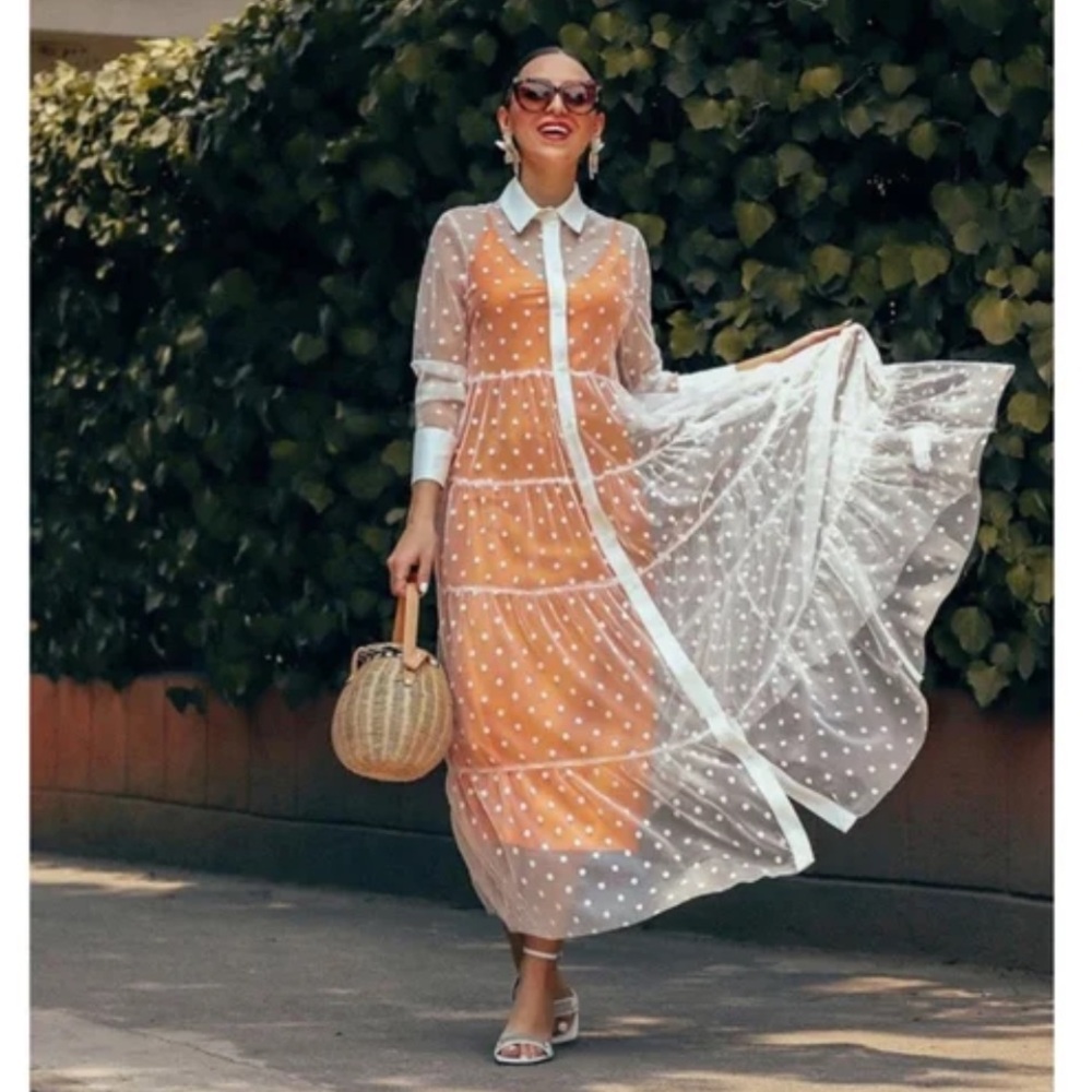 Zara White Sheer tulle Polka Dot button down Long Sleeve Dress
